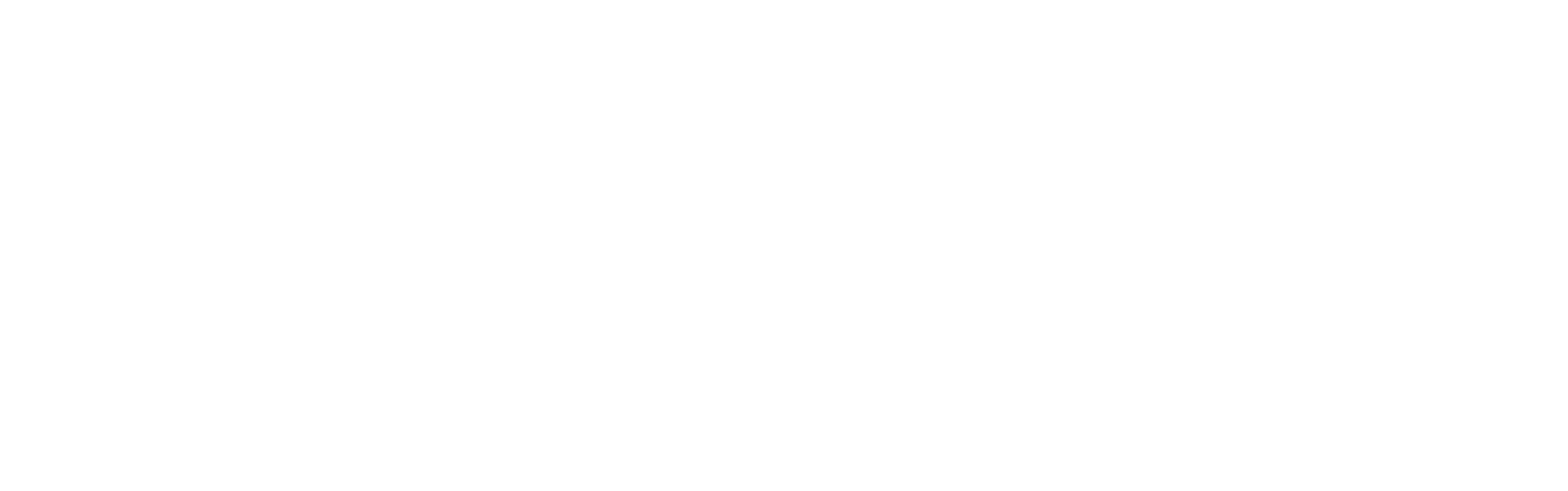 Dalux-logo-BW